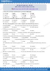 Đề thi giữa kì 2 Tiếng Anh 10 Global Success - Đề số 5